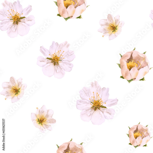 Watercolor floral seamless pattern with white yellow flowers, blueberry and green leaves. Hand-drawn botanical repeated pattern with transparent background. Forest plants backdrop for fabric, paper