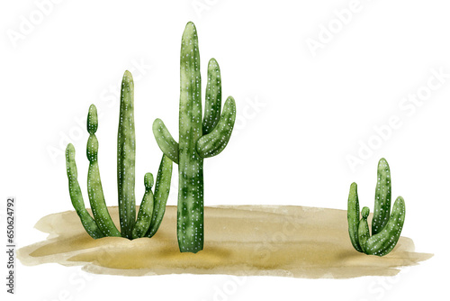 Fotografia Desert landscape with saguaro cactuses and sand watercolor illustration isolated on white background
