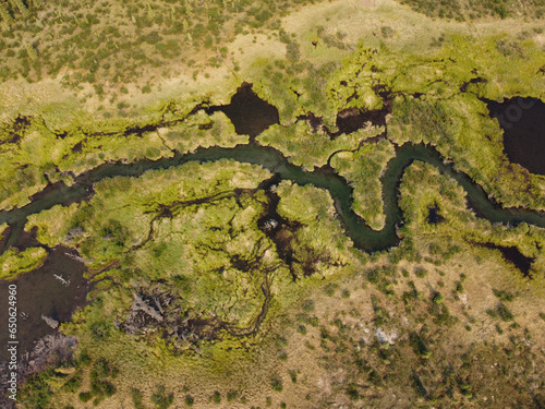 Nature pattern of creek meander wetland swamp