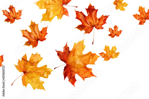 Maple leaves falling on air on transparent background. Generative Ai  