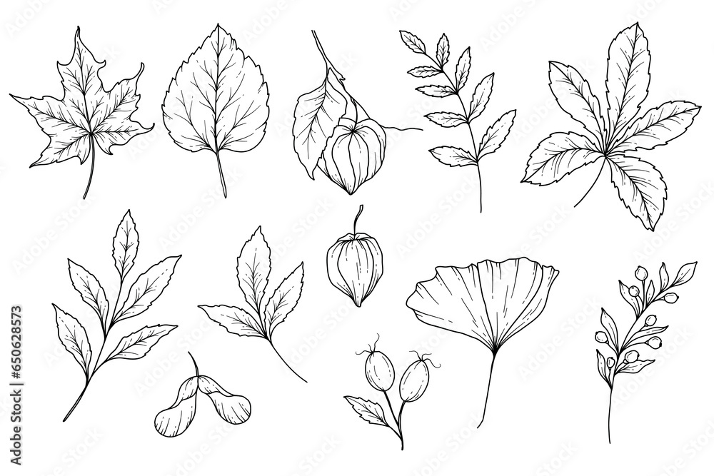 Fall floral arrangement outline. Fall Foliage Line Art Illustration, Outline Leaves arrangement Hand Drawn Illustration. Fall Coloring Page with Leaves. Thanksgiving arrangement. Thanksgiving graphics - obrazy, fototapety, plakaty 