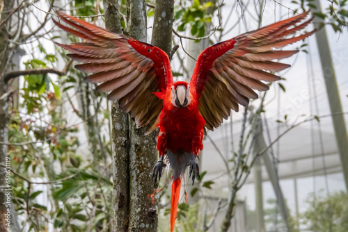 Views around Bird paradise , Mandai Reserve Singapore , Asia, © Gail Johnson