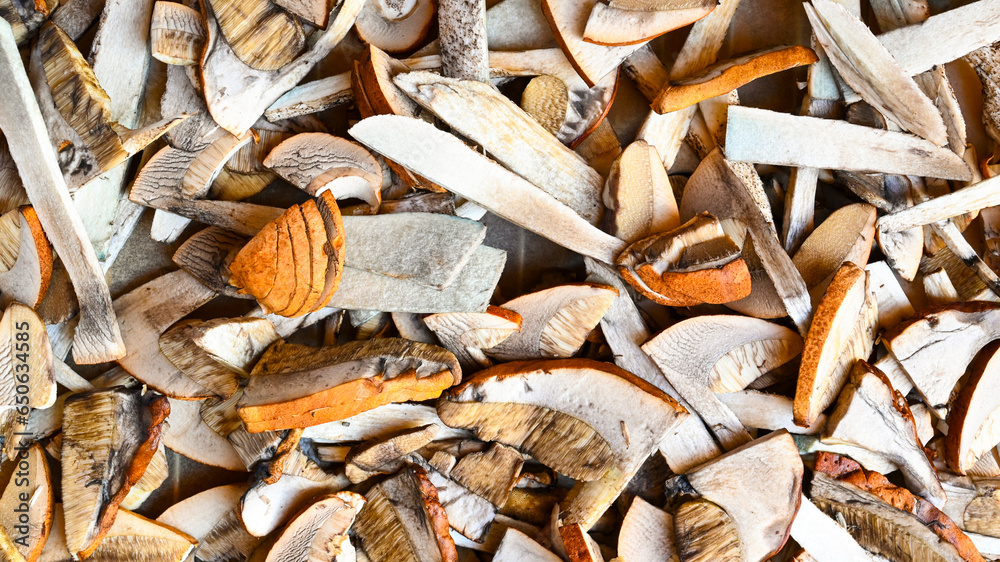 Close up of dried mushrooms red cap.