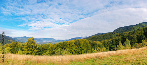 panorama of grassy meadow with forested hills. beautiful carpathian mountain landscape on a sunny day in autumn. distant ridge beneath a sky with clouds