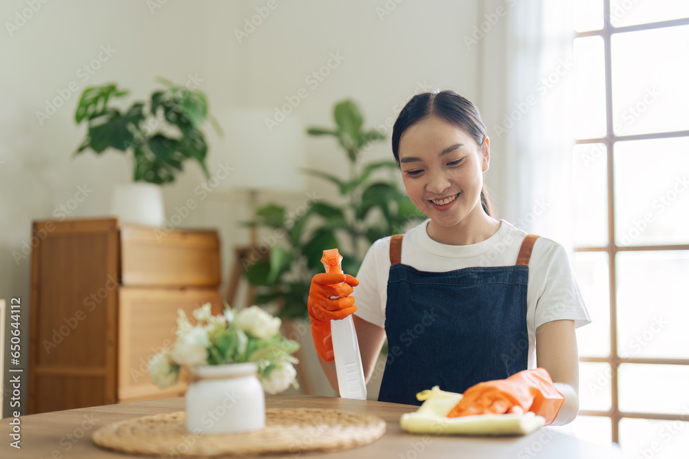 Young woman cleaning using spray and wiping the table with microfiber cloth in living room Young woman cleaning using spray and wiping the table with microfiber cloth in living room