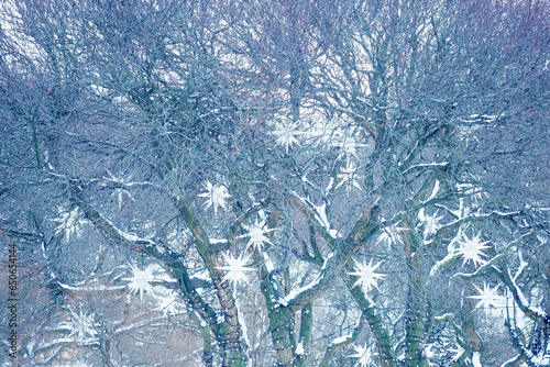 Beautiful winter, paper white snowflakes lanterns on tree branches. Winter decorations on the street, snowstorm