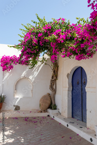 Traditional blue door with pattern tiles and pink flowers, Hara Sghira Er Riadh - Djerbahood in Tunisia