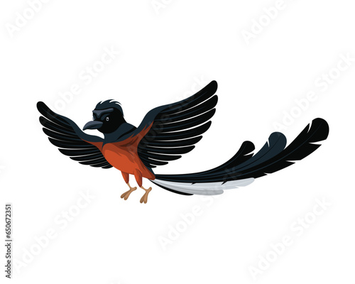 Copsychus malabaricus Murai bird vector flying illustration animal wings cartoon fly wing design wild birds animals