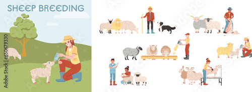 Sheep Breeding Composition