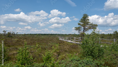Moor landscape with a wooden path