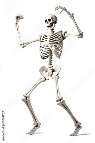 dancing cheerful skeleton, png file of isolated cutout object on transparent background.