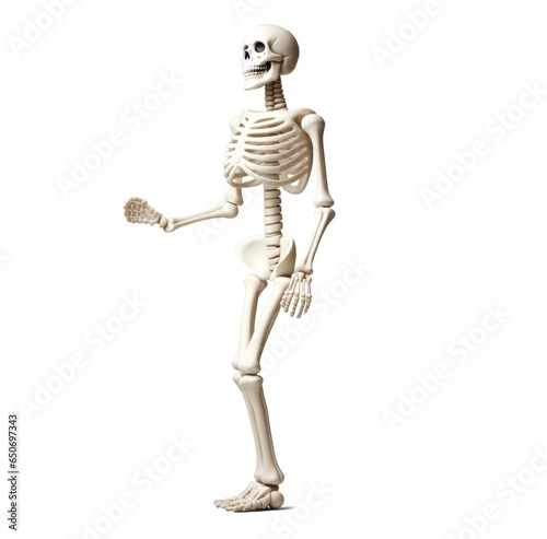 dancing cheerful skeleton, png file of isolated cutout object with shadow on transparent background.