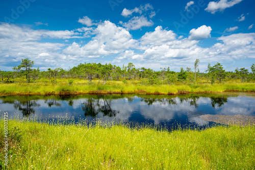 Kemeri bog National Park, Latvia 
