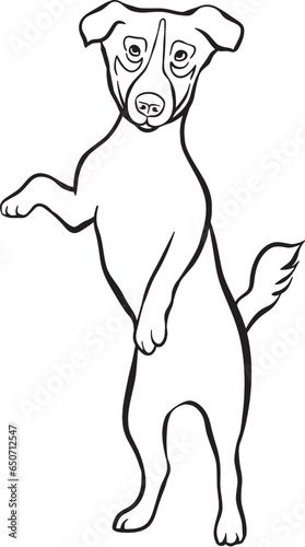 Black and white ink illustration of a dog, coloring page. Standing on back hind legs. Logo, mascot design