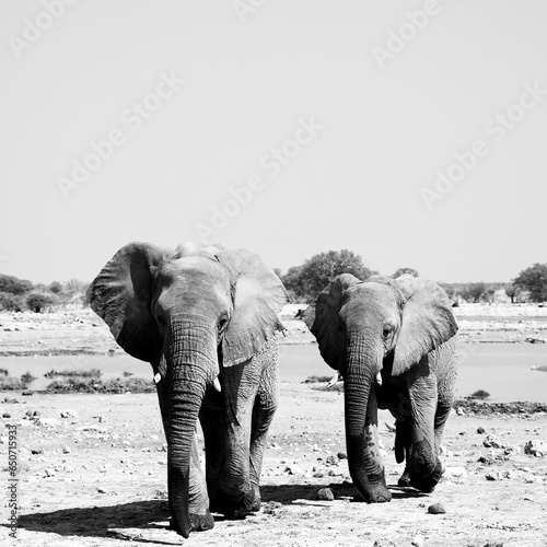 Processed with VSCO with 3 preset