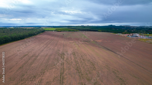 Planting rows of eucalyptus and soy trees on a farm in Brazil, São Paulo. Aerial view