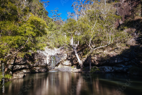 Kondalilla National Park in Queensland Australia photo