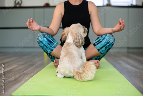 Woman practicing yoga exercises with pet, during yoga meditation with dog puppy, training on mat with animal. Mental health, mental balance, time for herself, stress relief, mind fullness concept. photo