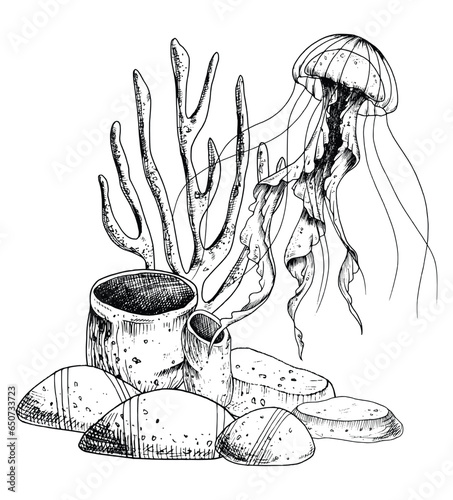 Jellyfish with Coral reefs and seabed on isolated background. Hand drawn vector illustration of Jelly Fish and sea floor for icon or logo. Underwater line art drawing with medusa painted by black ink.