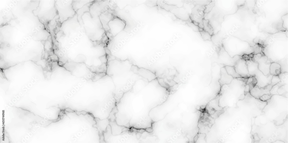 White and Black Marble luxury realistic texture for banner, invitation, headers,print ads, packing design template.Marbeling texture with vector illustration.isolated on white background