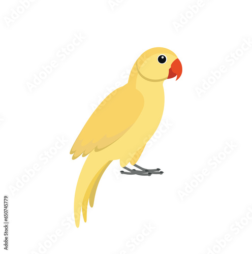 Yellow indian parrot
