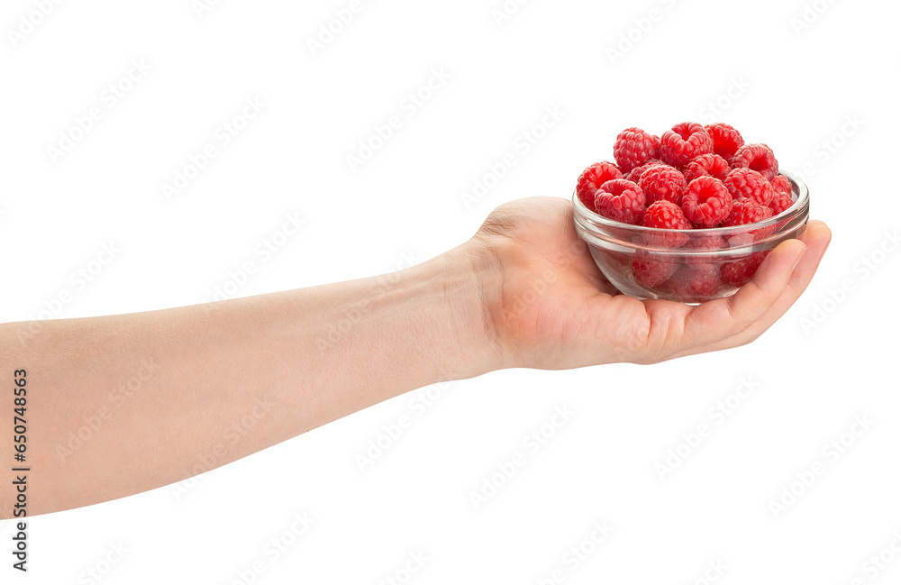 raspberry bowl in hand path isolated on white raspberry bowl in hand path isolated on white