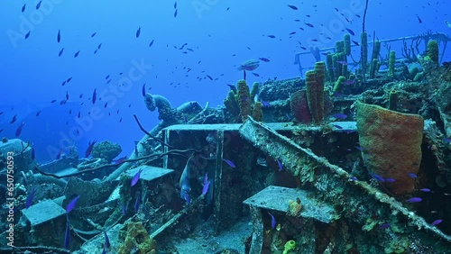 Fish and marine life thrive amongst the wreckage of a sunken ship in Cayman Brac. The Russian vessel was sunk deliberately to promote such bustling underwater life.