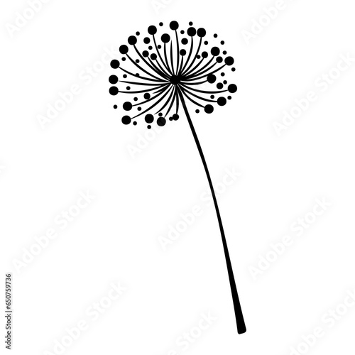 Decorative dandelion sketch. Hand drawn ink flower