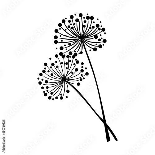 Decorative dandelion sketch. Hand drawn ink flower