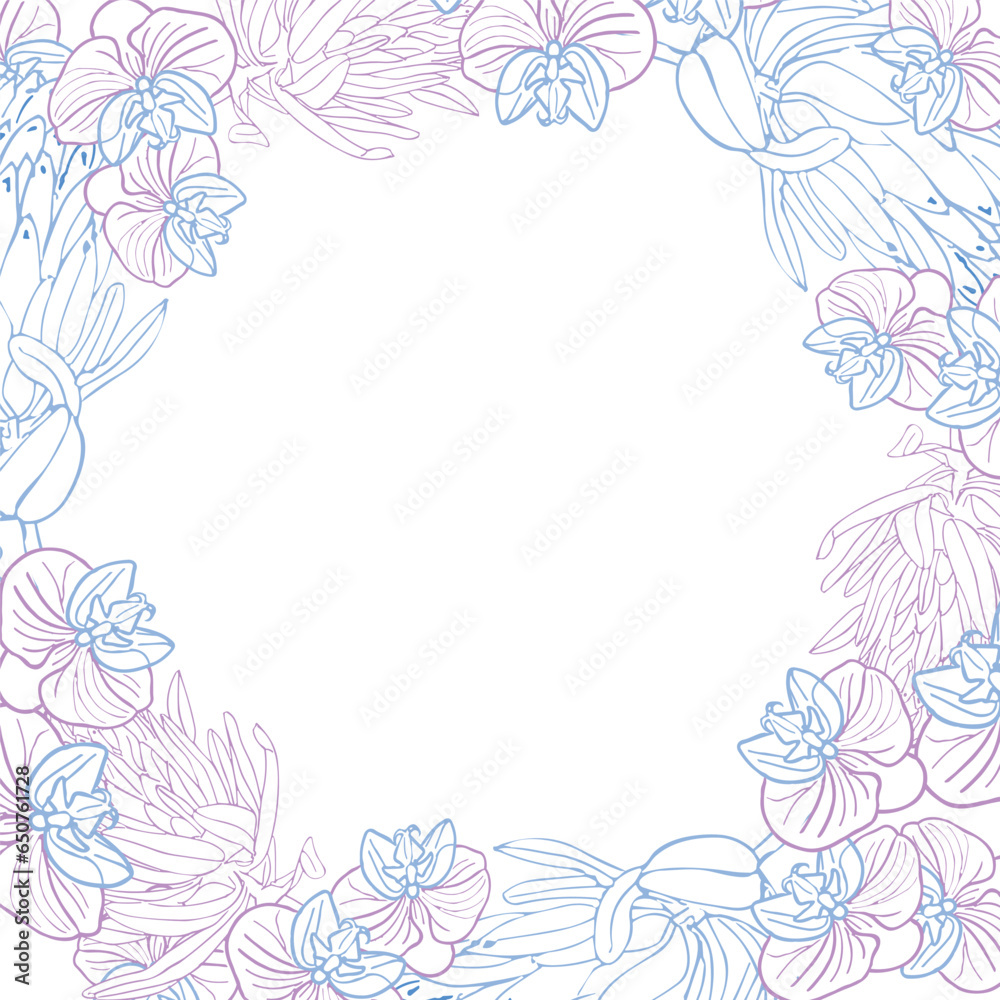 Tropical king protea and orchid flower frame boarder, hand drawn sketch flower head in pastel blue and pink color. Vector background for card or invite.