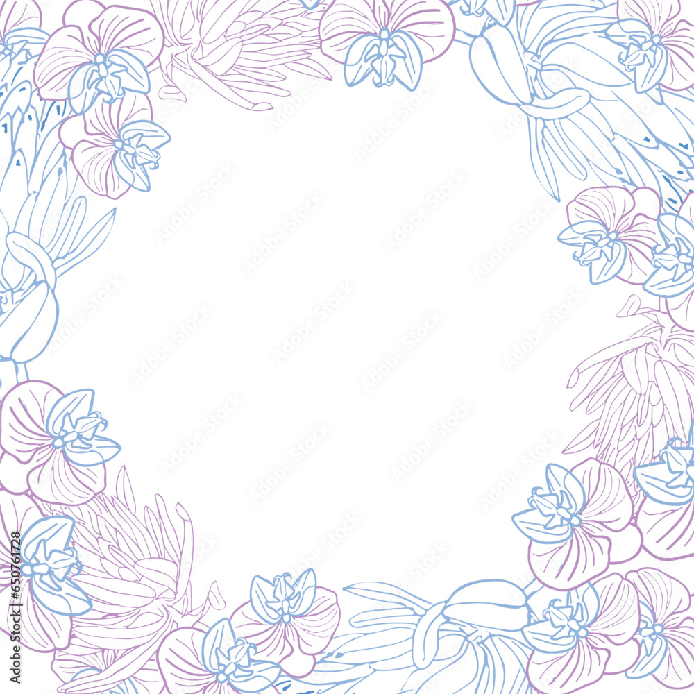 Tropical king protea and orchid flower frame boarder, hand drawn sketch flower head in pastel blue and pink color. Vector background for card or invite. Tropical king protea and orchid flower frame boarder, hand drawn sketch flower head in pastel blue and pink color. Vector background for card or invite.