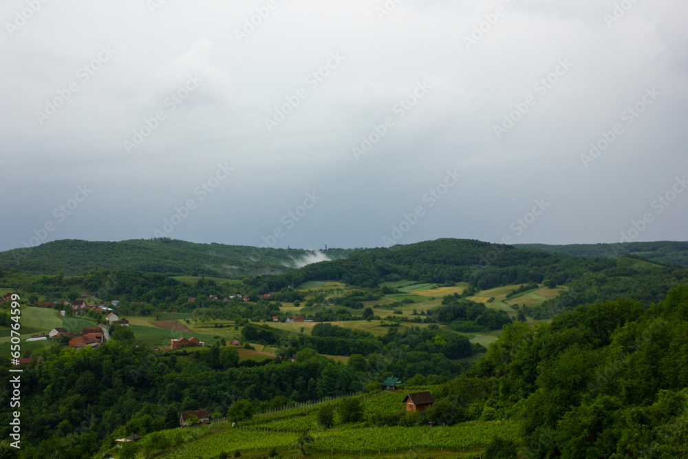 vineyard, village and mountains on cloudy day