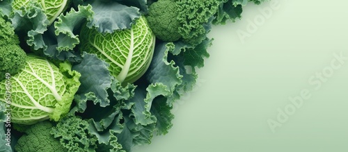 Close up of kale cabbage leaves isolated pastel background Copy space