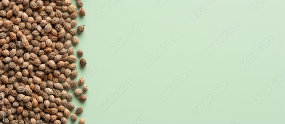 Obraz premium Top view of isolated cannabis hemp seeds on a isolated pastel background Copy space