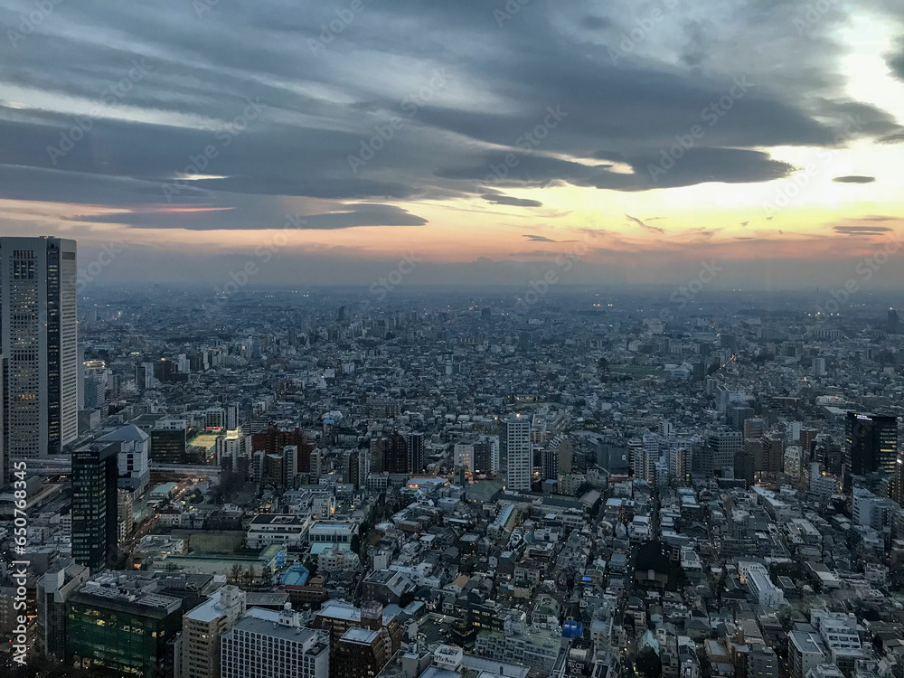 Panoramic view of city Tokyo in the evening