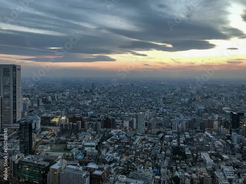 Panoramic view of city Tokyo in the evening © FromWithLove