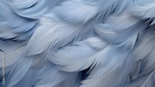 Close-up of grey bird feathers print background. Backdrop for fashion, textile, print, banner