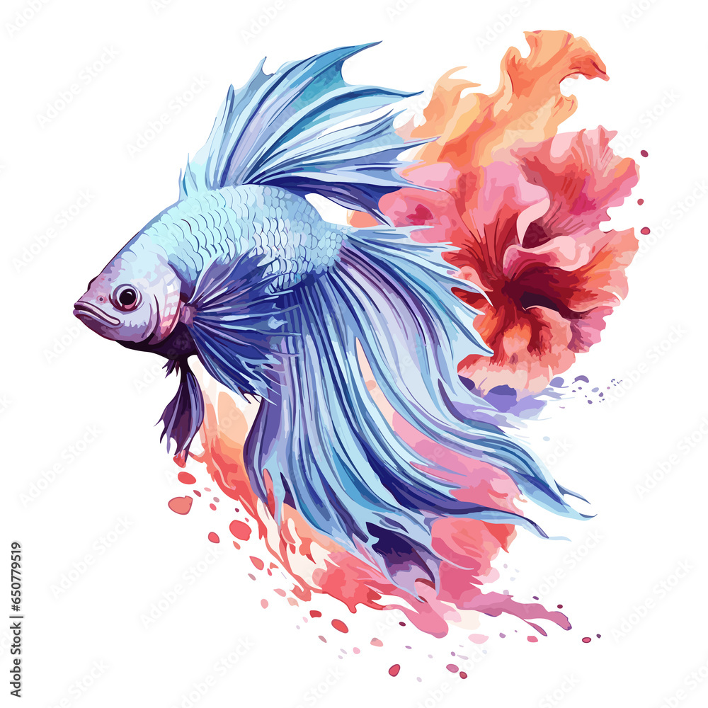 Fototapeta Fighter fish floral fighter fish, Illustration, Watercolor PNG