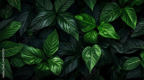  Floral print of Green leaves in jungle on dark background