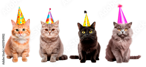 Set of four adorable cats wearing Birthday party hats posing over isolated white transparent background photo