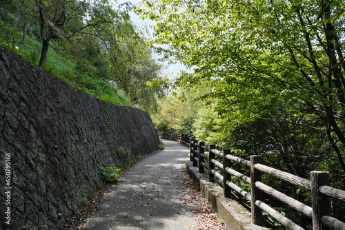 津久井湖城山の景色　View of Lake Tsukui Joyama photo