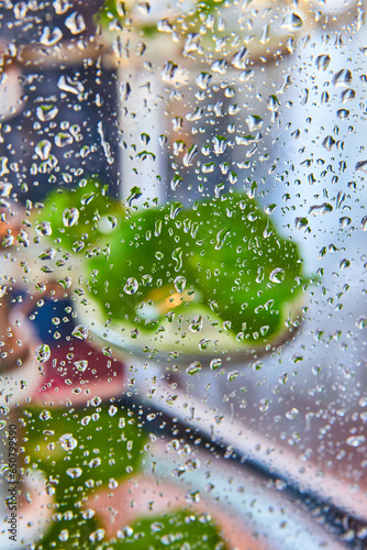 Water droplets on glass with blurry green plant in background photo