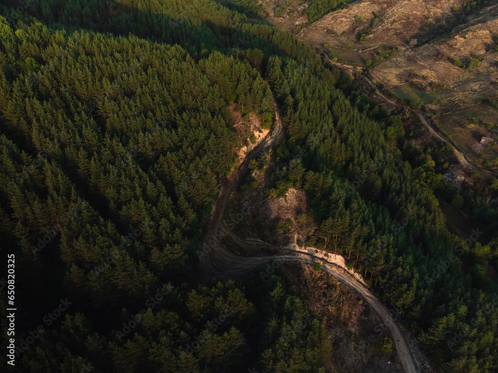 A curvy road in the forest leading to the mountains A curvy road in the forest leading to the mountains