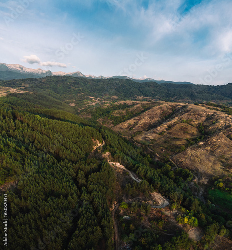 Vibrant blue sky with clouds and green forest spreading to the top of the mountains.