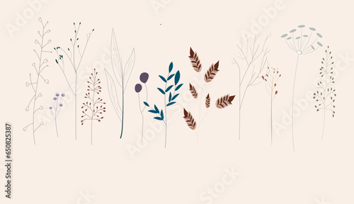 Floral Vector Background  Hand-Drawn Wildflowers  Herbs  Leaves  and Grass in Delicate Silhouettes with Pastel Colors on a Beige Background