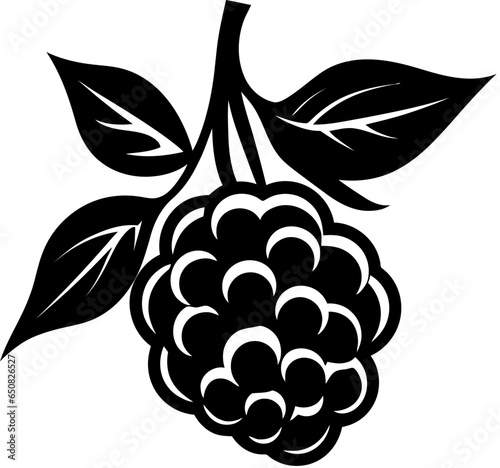 Blackberries with leaves icon