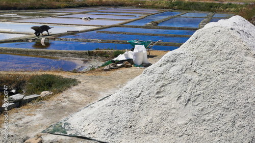 colorful salterns with a pile of salt in sunlight at the area of guerande	
