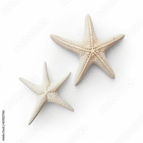 Two Starfish isolated on white background.
