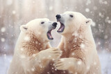Pair of polar bears playing in the snow