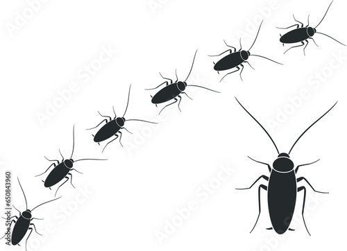 Cockroach logo. Isolated cockroach on white background
